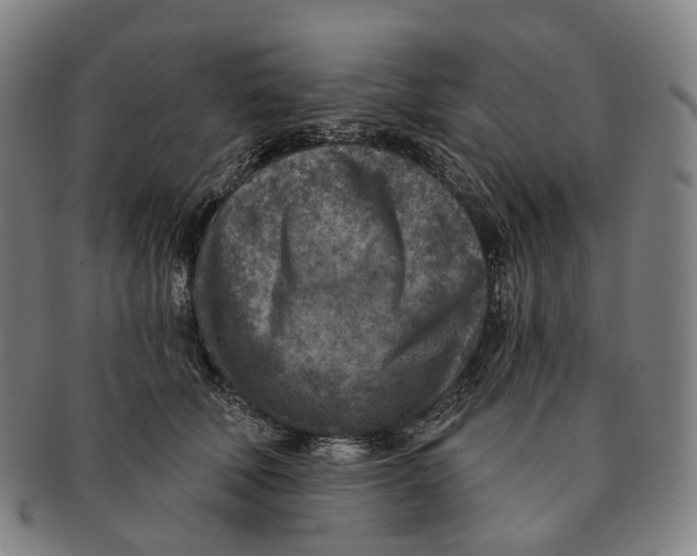 X0000091000610200708301336