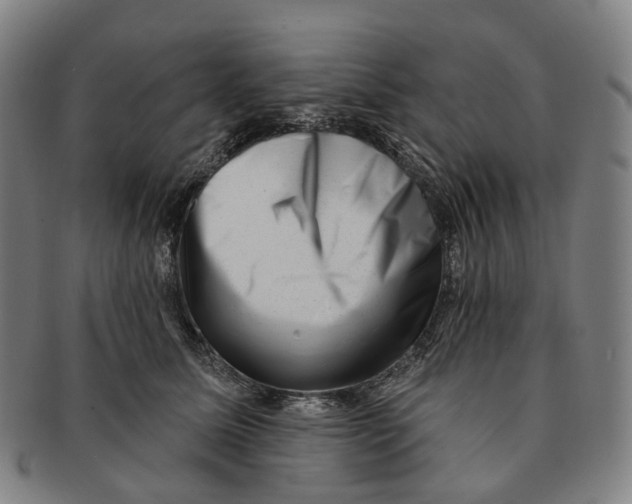 X0000091000611200708301336