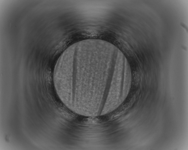 X0000091000612200708301336