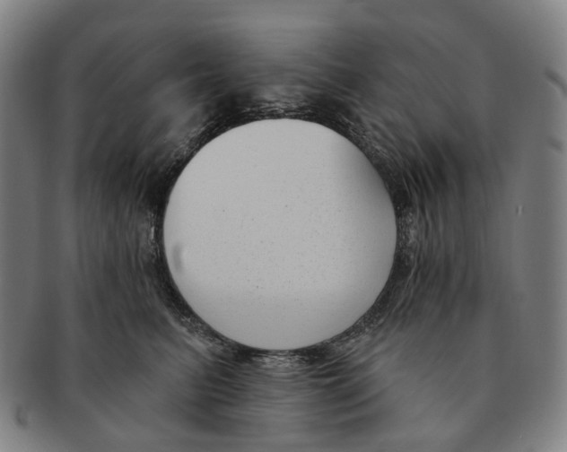 X0000091000615200708301336
