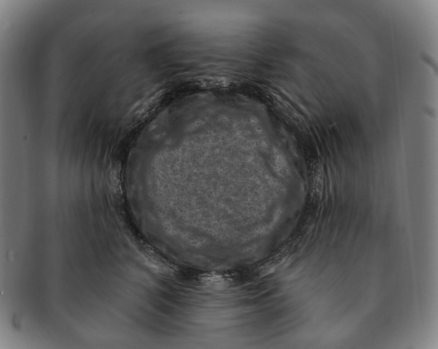 X0000091000616200708301336
