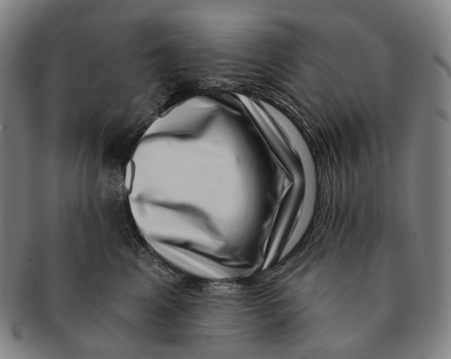 X0000091000617200708301336