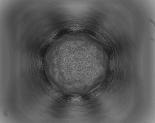 X0000091000618200708301336