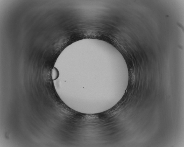 X0000091000619200708301336
