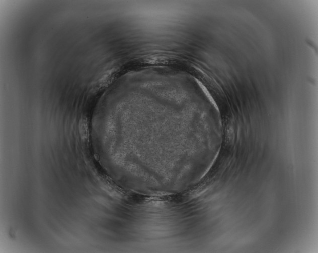 X0000091000620200708301336