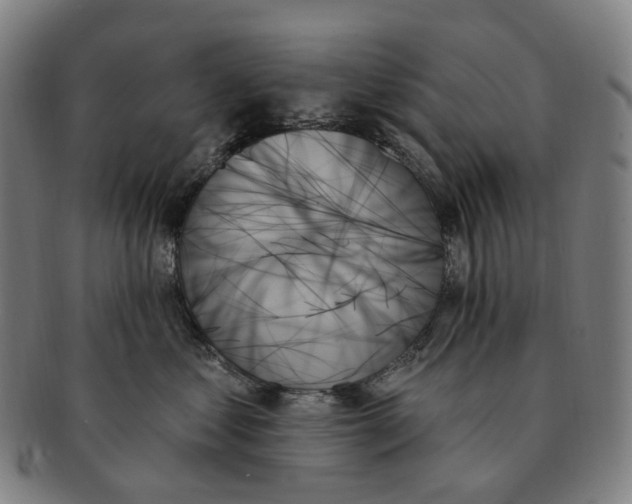 X0000091000621200708301336