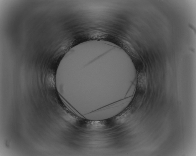 X0000091000622200708301336