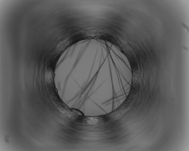 X0000091000623200708301336