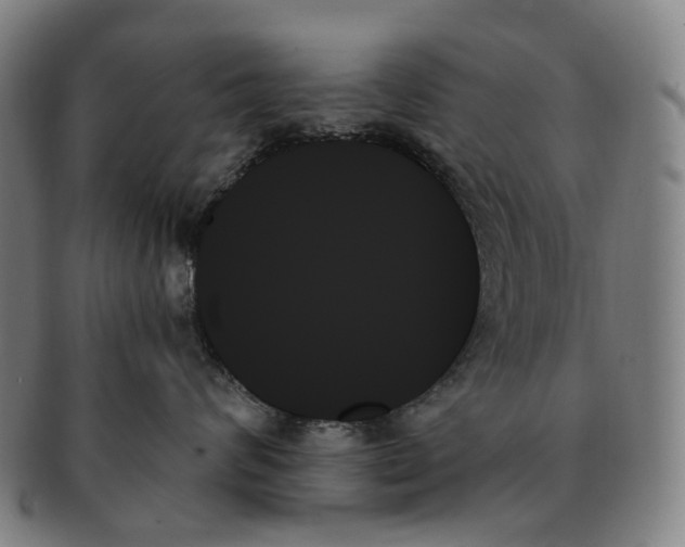 X0000091000624200708301336