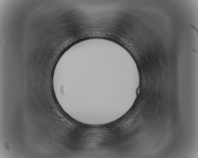 X0000091000625200708301335