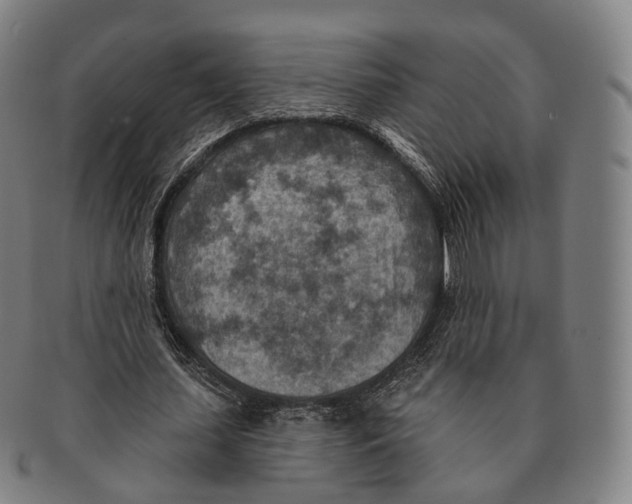 X0000091000627200708301335