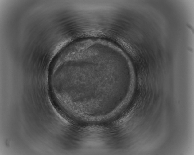 X0000091000630200708301335