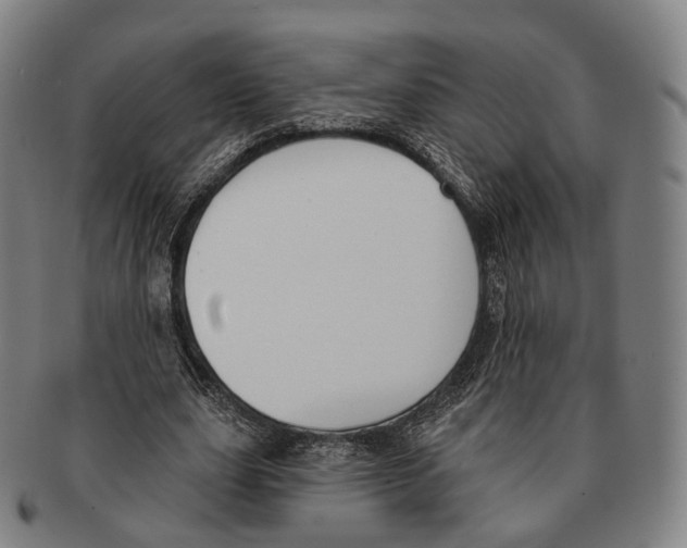 X0000091000631200708301335