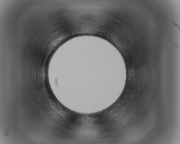 X0000091000632200708301335