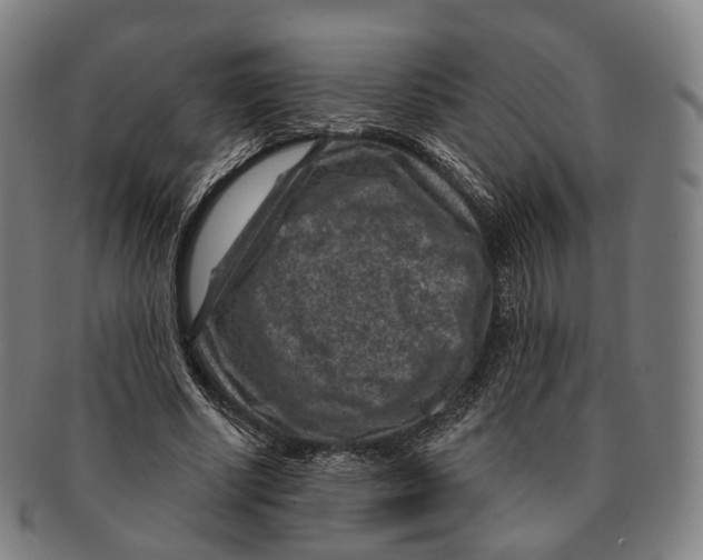 X0000091000634200708301335