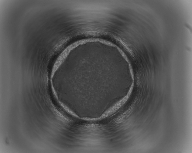 X0000091000637200708301335