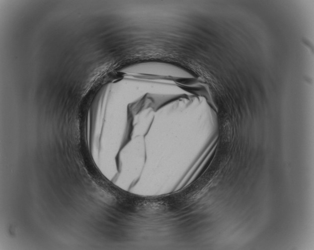 X0000091000638200708301335
