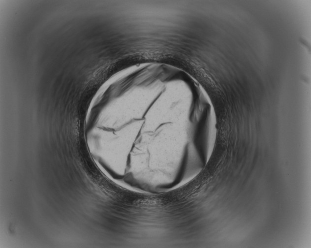 X0000091000639200708301335