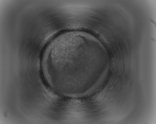 X0000091000640200708301335