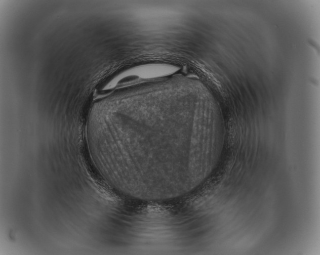 X0000091000641200708301335
