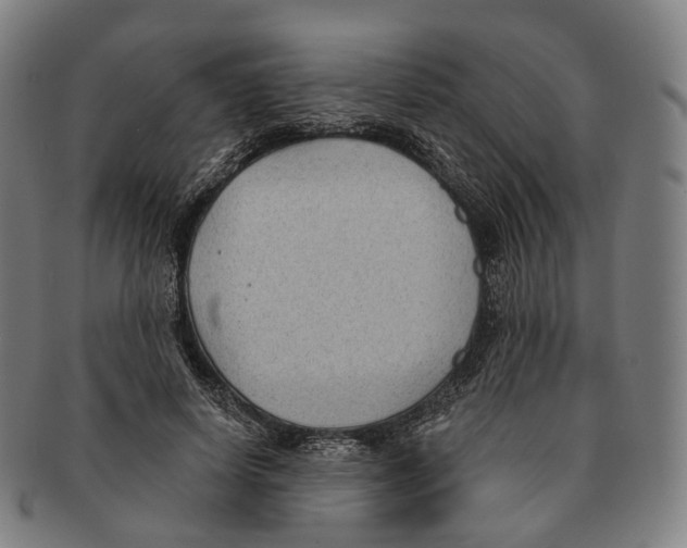 X0000091000642200708301335