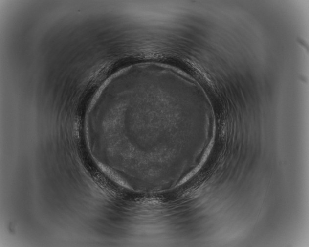 X0000091000643200708301335