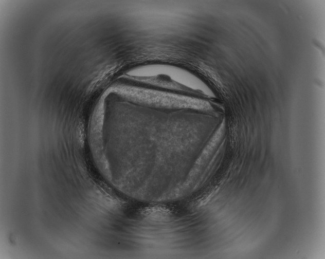 X0000091000644200708301335