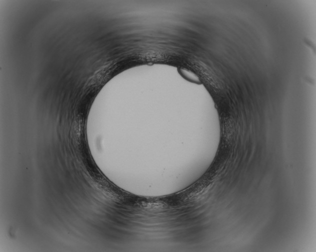 X0000091000645200708301335
