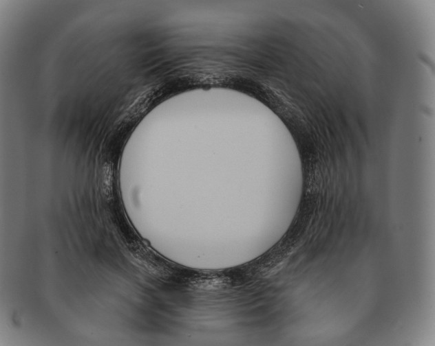 X0000091000646200708301336