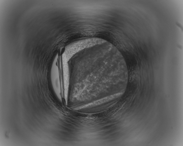 X0000091000647200708301336