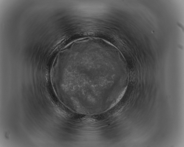 X0000091000648200708301336