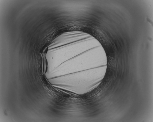X0000091000649200708301336