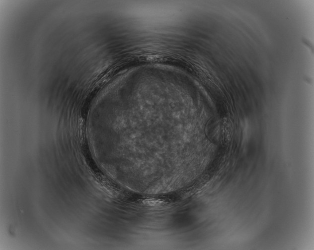 X0000091000650200708301336