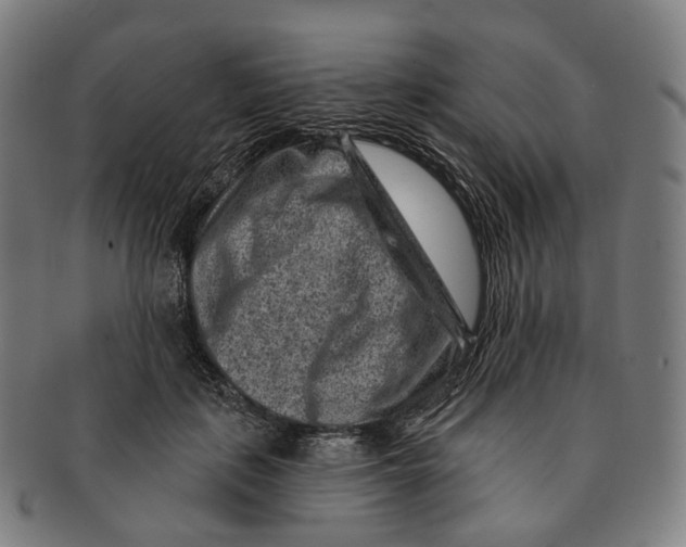 X0000091000651200708301336