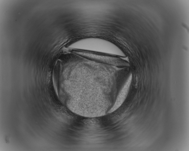 X0000091000652200708301336