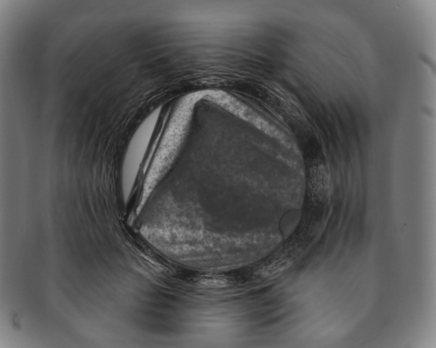 X0000091000653200708301336