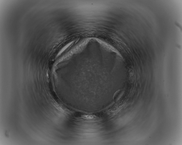 X0000091000654200708301336