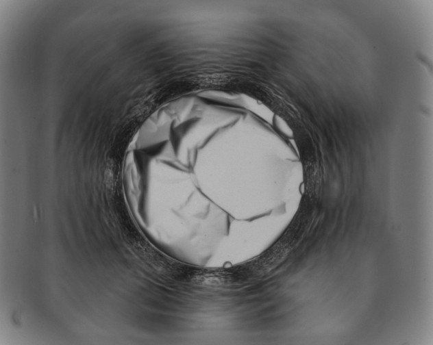 X0000091000655200708301336