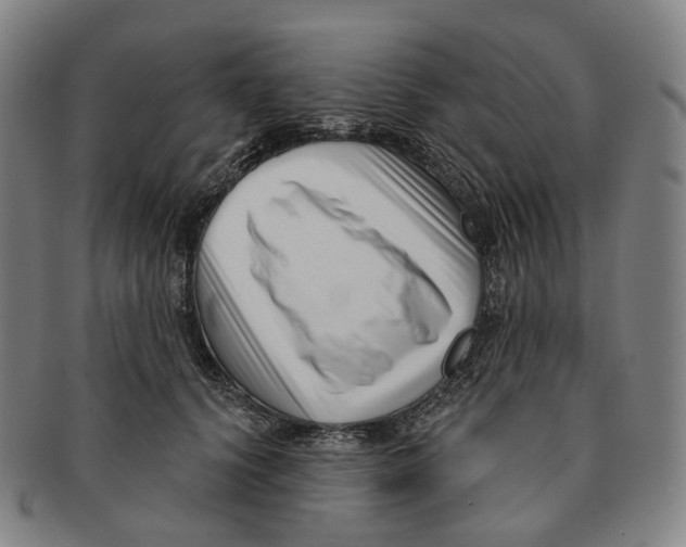 X0000091000656200708301336