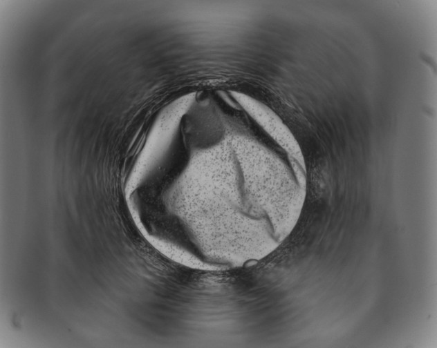 X0000091000657200708301336