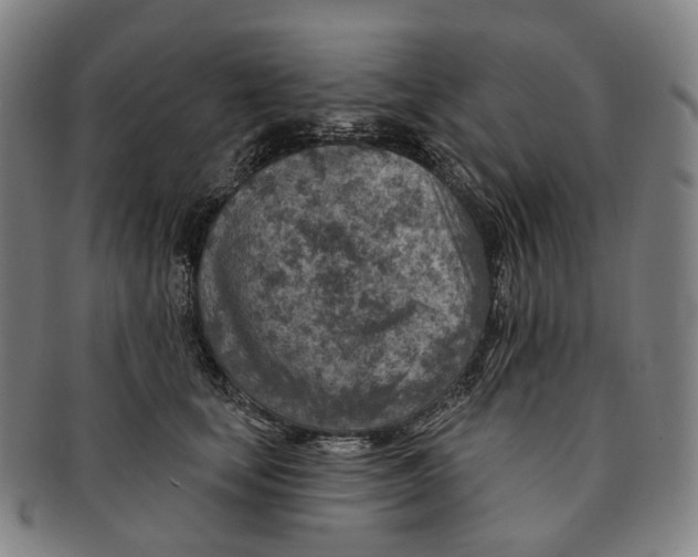 X0000091000659200708301336