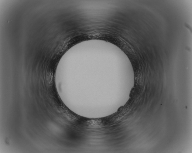 X0000091000660200708301336