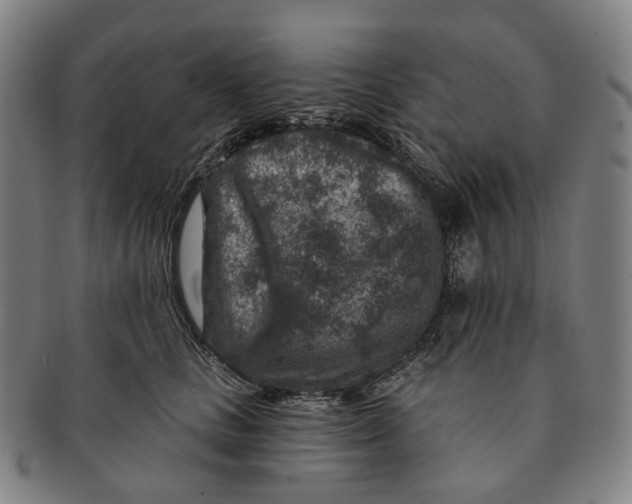 X0000091000661200708301336