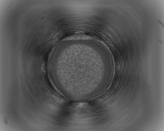 X0000091000663200708301336