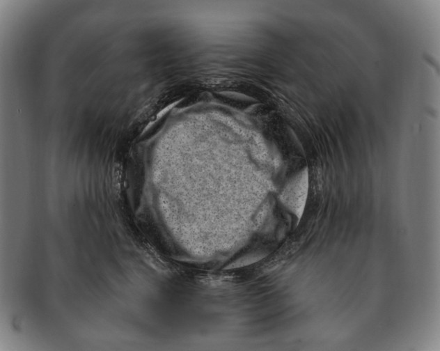 X0000091000664200708301336