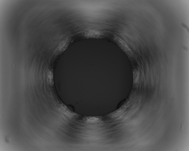 X0000091000669200708301336