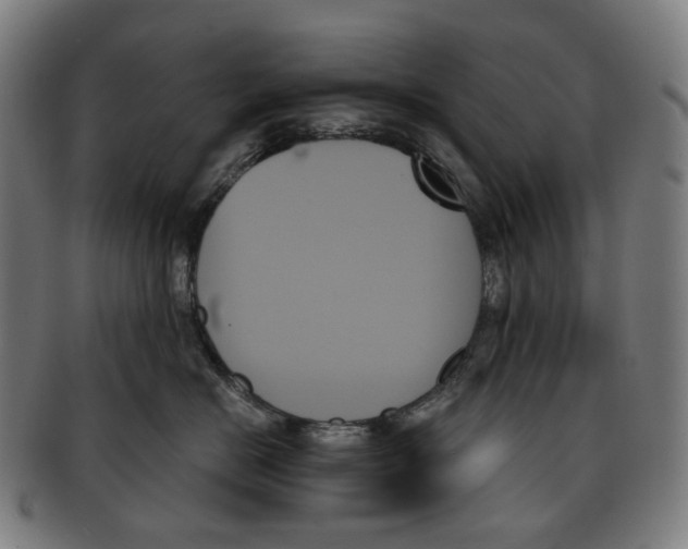 X0000091000670200708301336