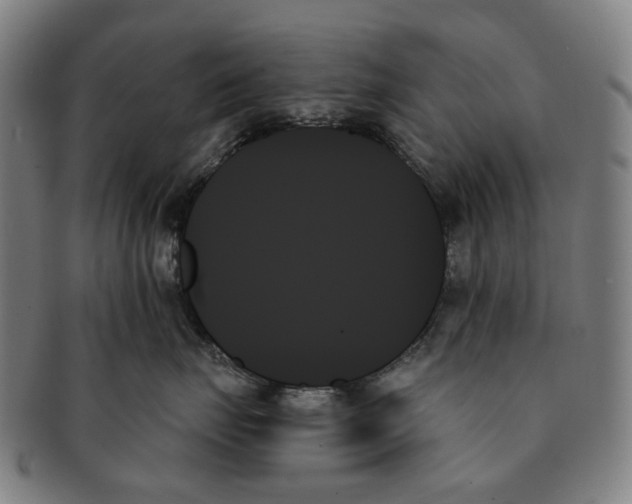 X0000091000671200708301336