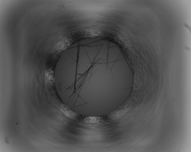 X0000091000672200708301336