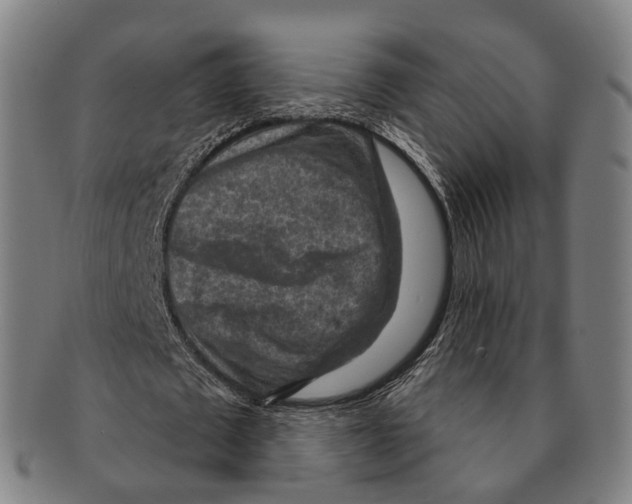 X0000091000673200708301335